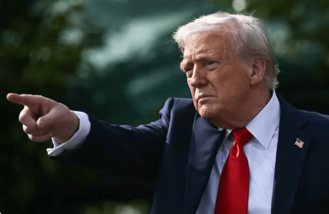 信用网出租代理_金灿荣:我们要是再回应特朗普信用网出租代理,就显得小家子气了