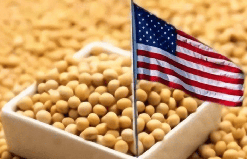 皇冠信用网开户_对华出口下降70%!特朗普大打出手皇冠信用网开户,没想到第一个倒下的竟是自己人