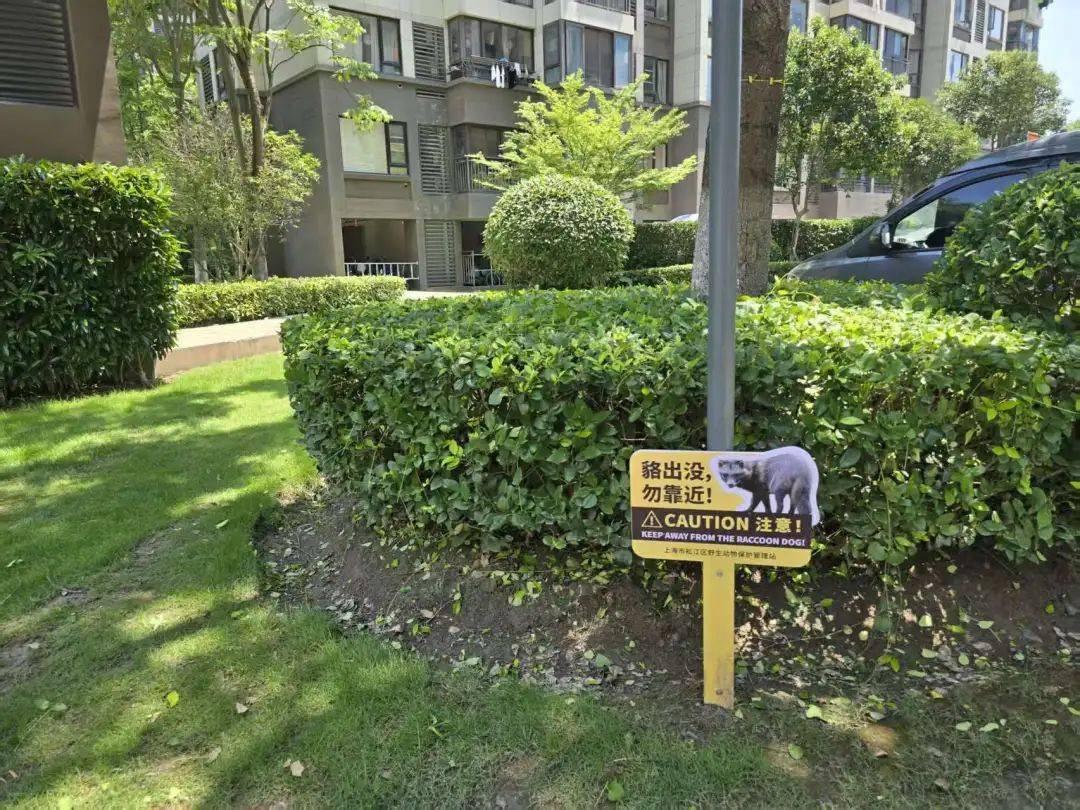 皇冠登一登二登三区别_上海一小区居民苦恼新邻居：突然搬来让人提心吊胆皇冠登一登二登三区别！不能抓不能打