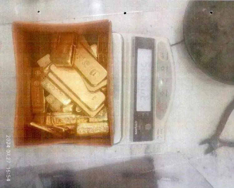 世俱杯免费直播_小树林里接头世俱杯免费直播，一天背走2000多万元黄金！上海两人被判刑