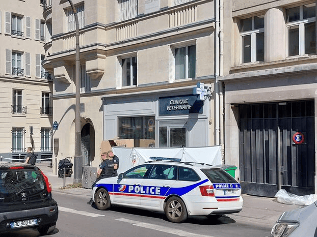 皇冠信用网代理出租_法国知名华裔演员为捡手机从8楼坠亡皇冠信用网代理出租,曾与《这个杀手不太冷》主演合作电影