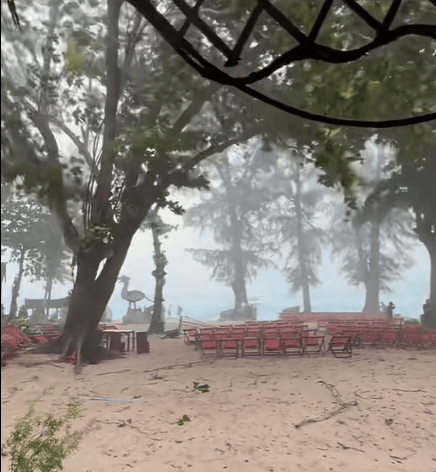 皇冠信用网代理_中国女游客被砸身亡!女儿崩溃:原定明天回国皇冠信用网代理,刚退休的年纪,意外先到了!