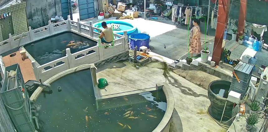 皇冠信用盘如何开户_新乡一男子喂鱼忘送娃上课被妻子踹进鱼池:妻子怀孕脾气有时候控制不住皇冠信用盘如何开户,互相道了歉