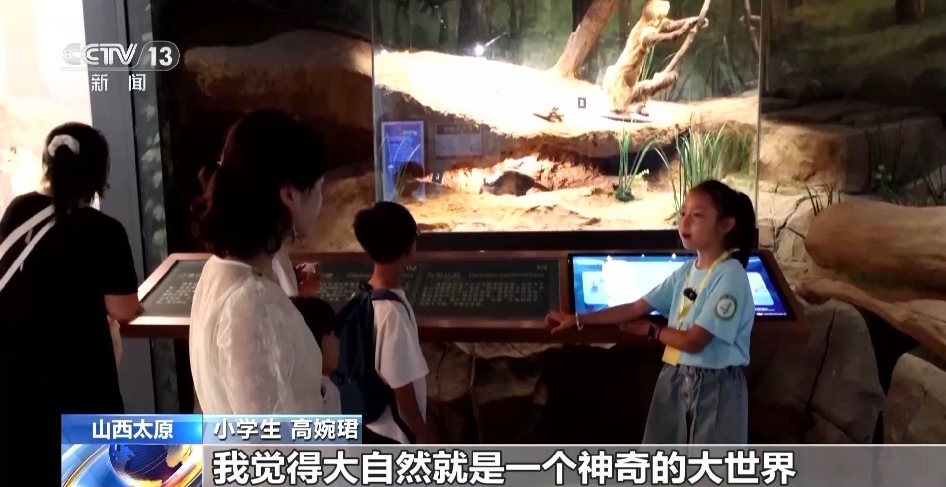 皇冠信用网登3_文化中国行丨暑期“文博热” 各地博物馆推出多元体验新玩法