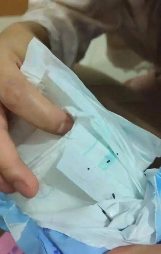 皇冠信用網
_洁婷卫生巾被曝打开包装全是死虫子