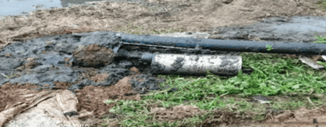 福岛联队vs鹿儿岛联_1人掉入猪舍粪池致3人殒命福岛联队vs鹿儿岛联！经济损失193.9384万元