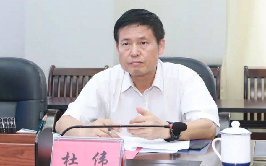 土耳其甲组联赛_杜伟被免去广西壮族自治区政协常委职务、撤销委员资格