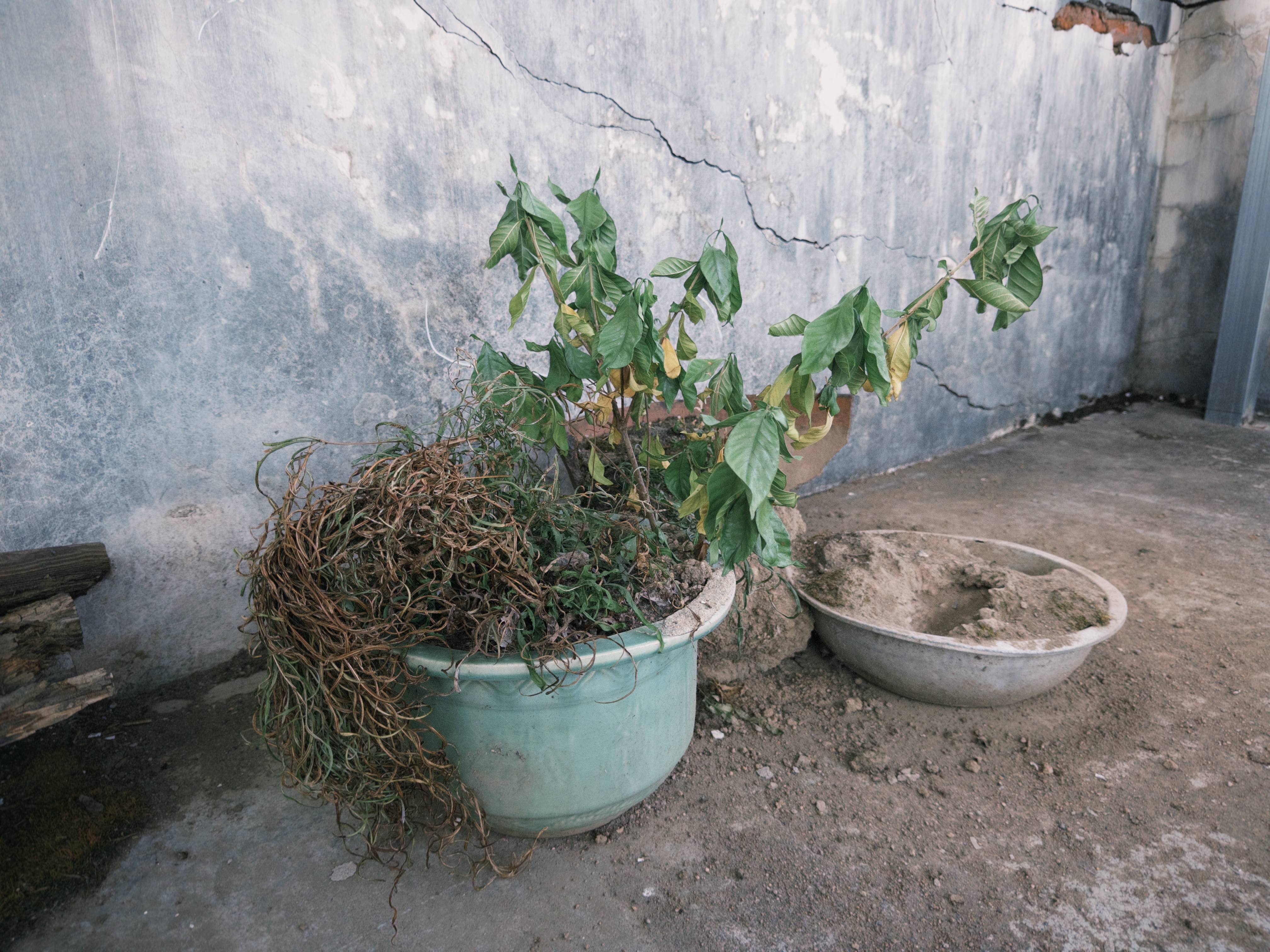 秘鲁乙组联赛_附加赛_七旬母亲卖掉儿子3万斤藏书 称读书害了秘鲁乙组联赛_附加赛他