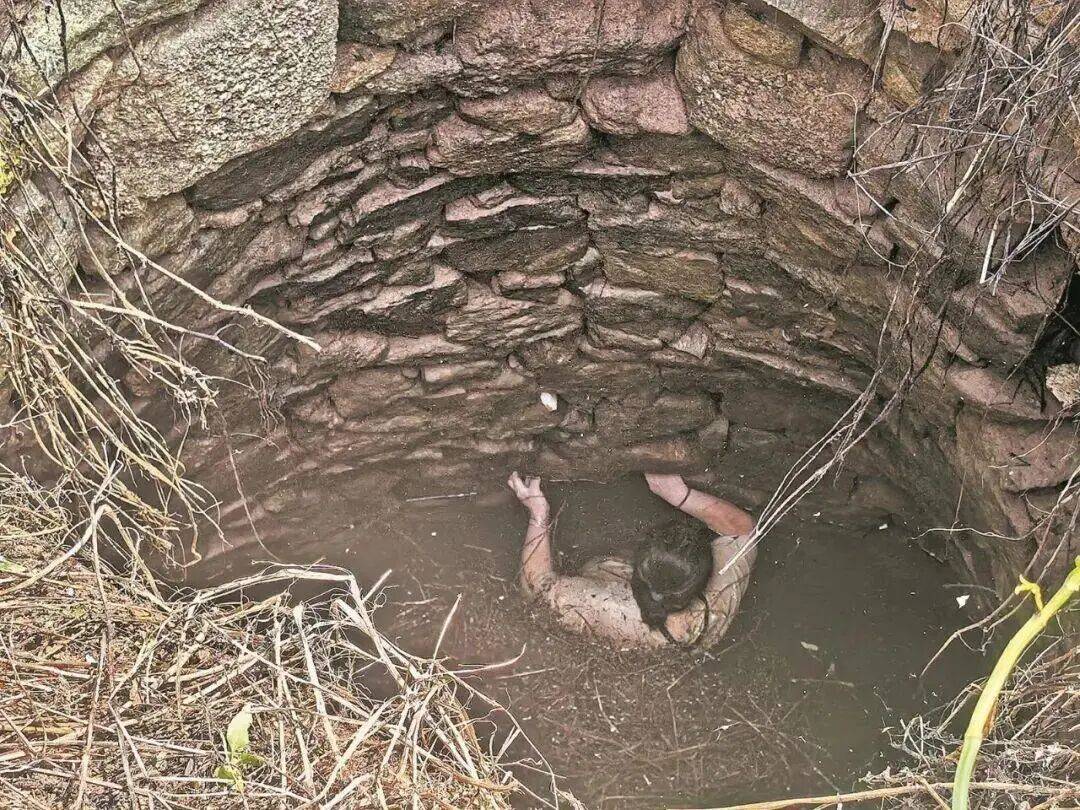 怎么申请皇冠信用網_多条蛇缠身怎么申请皇冠信用網，女子被咬了也不敢动！深井内苦撑54小时后……