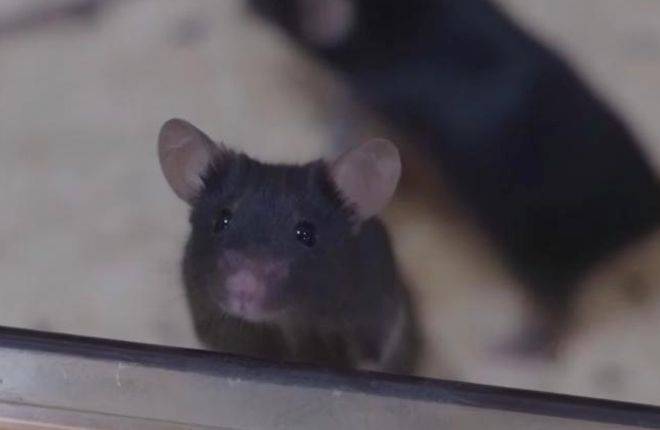 皇冠信用網注册开户_神舟二十一号升空！现在的问题是皇冠信用網注册开户，导师上天了，组会还开吗？