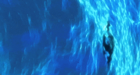 hga035会员注册
_不是慢镜头!福建舰电磁弹射速度那么快hga035会员注册
,是怎么瞬间刹车的?