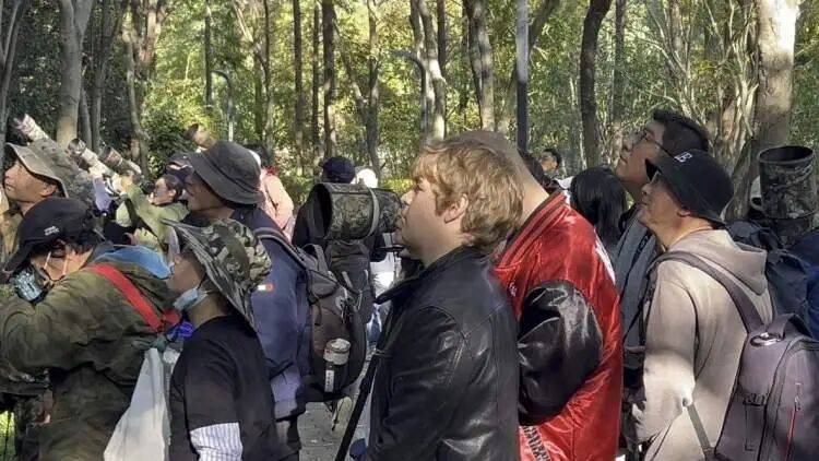 皇冠球网怎么做代理_百年罕见！首次在上海被目击皇冠球网怎么做代理，有人专门从北京“打飞的”赶来