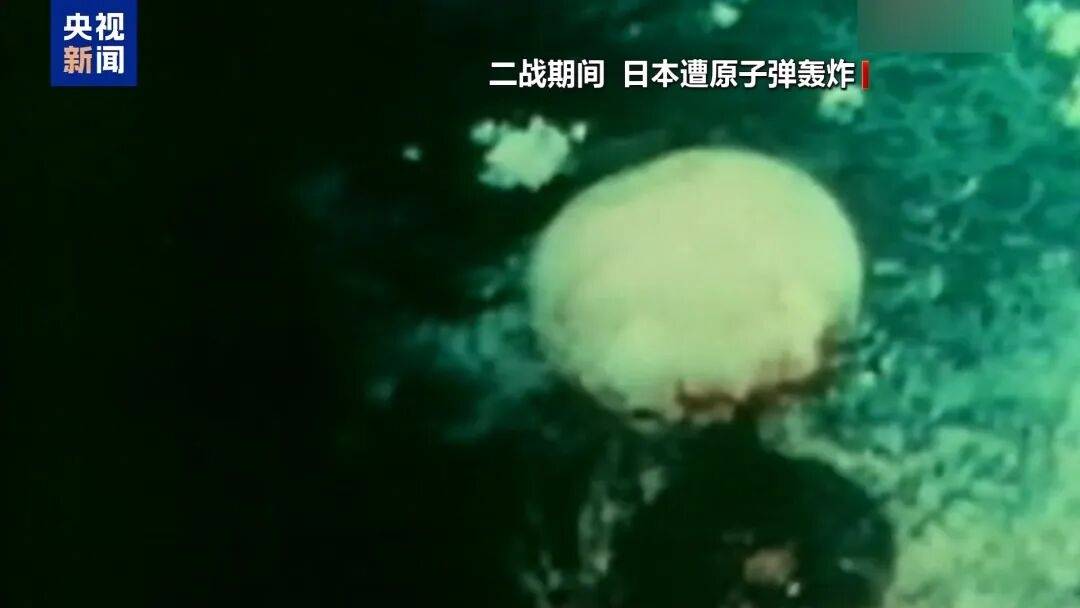 2026世界杯晋级_日媒：首相高市早苗的存在本身可能成为日本的存亡危机；其错误言行已招致恶果