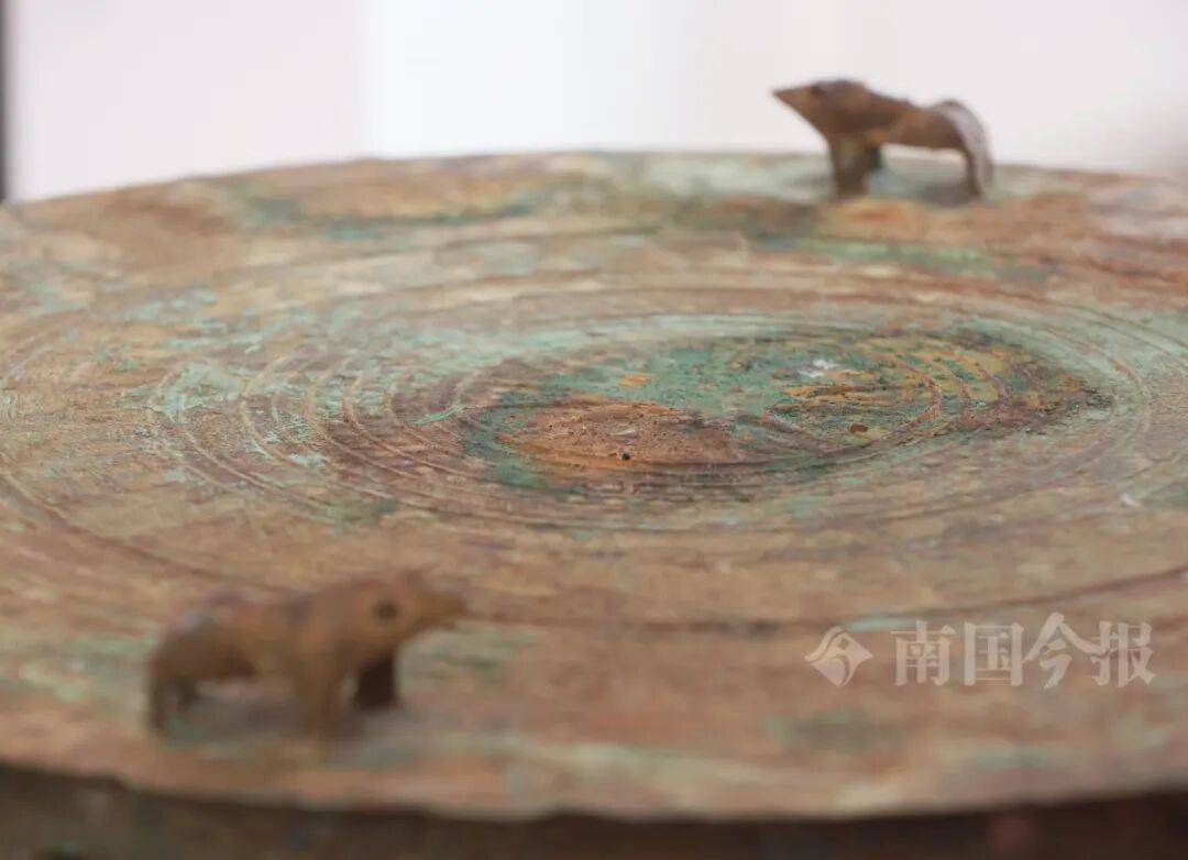 皇冠信用登2代理_柳州钓鱼阿叔竹林挖蚯蚓皇冠信用登2代理，竟挖出千年前的“大宝贝”！