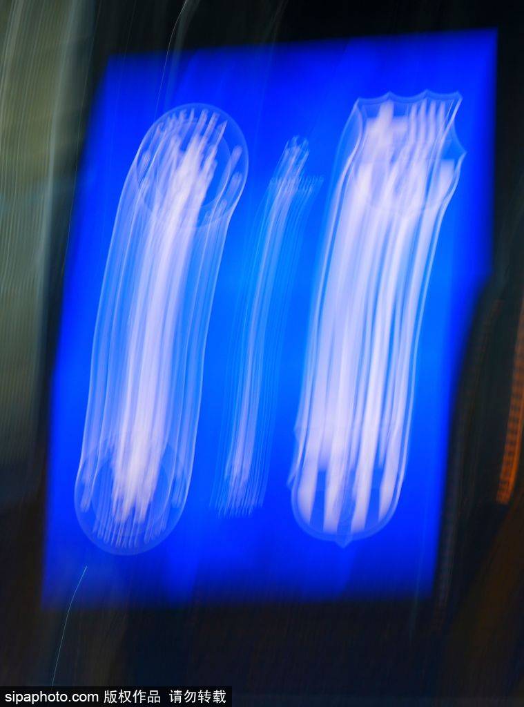 皇冠皇冠信用网开户
_红牌体质回来了?切尔西本赛季第7次吃红牌皇冠皇冠信用网开户
,近两场均有人染红