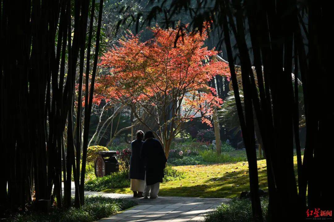 皇冠信用網代理
_我国已进入拉尼娜状态皇冠信用網代理
!四川今冬或“前暖后冷”