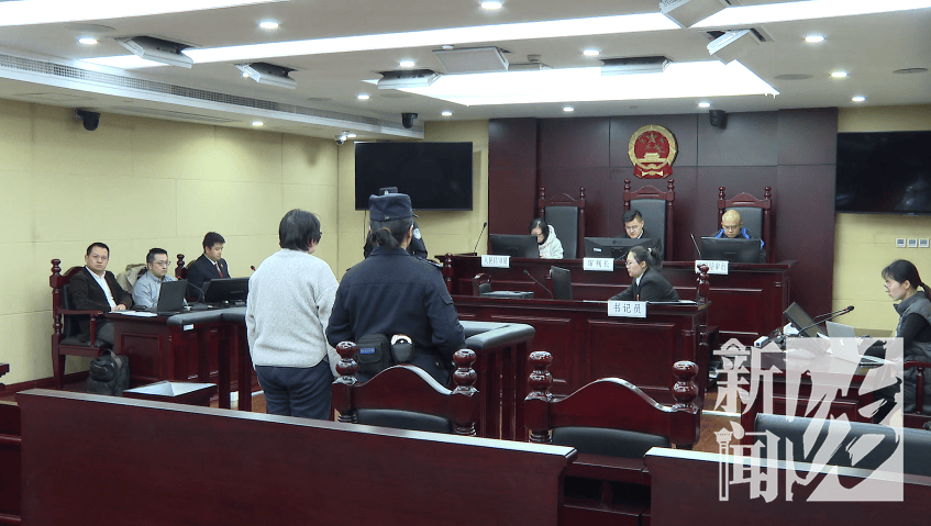 皇冠2登录welcome_上海一女子掏空公司3500万！养了上百只猫皇冠2登录welcome，还痴迷于“云祭祀”……